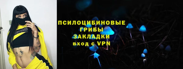 дурь Елабуга