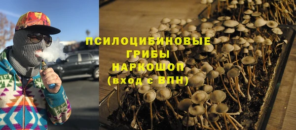 дурь Елабуга