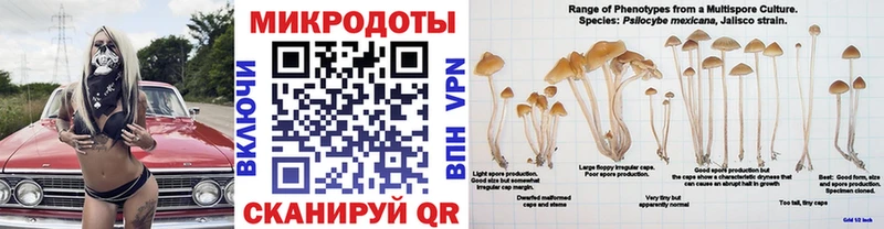 Псилоцибиновые грибы Cubensis  Карачев 